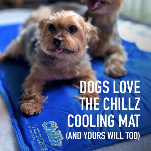 Gel Dog Cooling Mat - Image 6