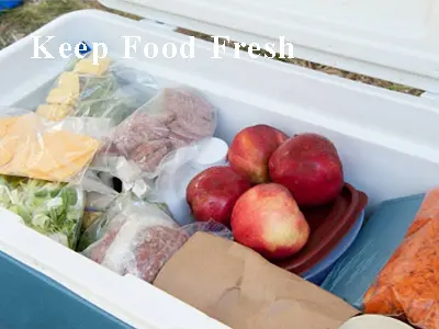 keep food fresh